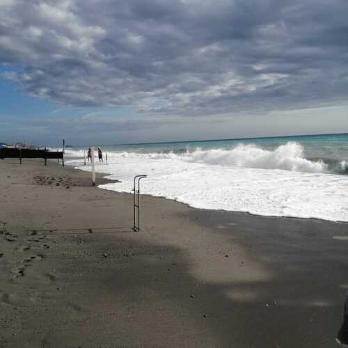 Photo #13860517