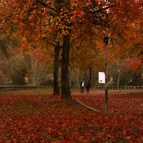 Photo #13860567