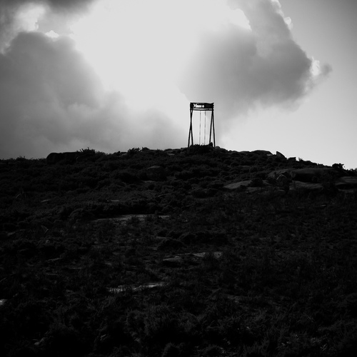 Photo #13860568