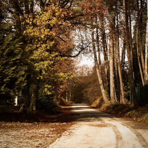 Photo #13860569