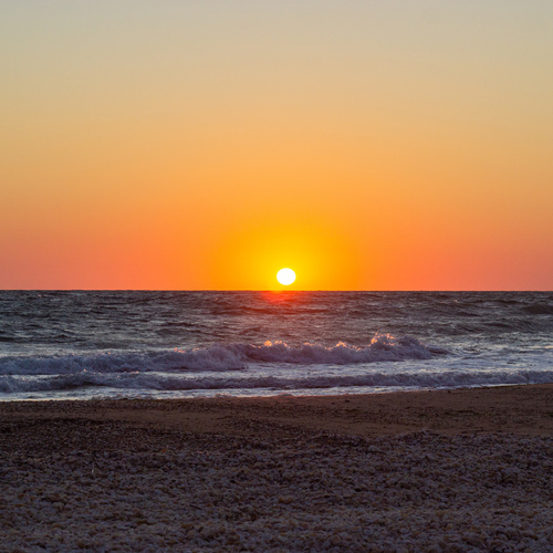 Photo #13860574