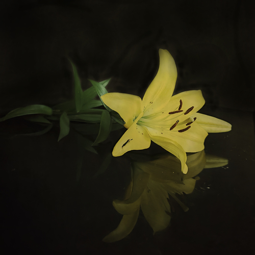 Photo #13860722