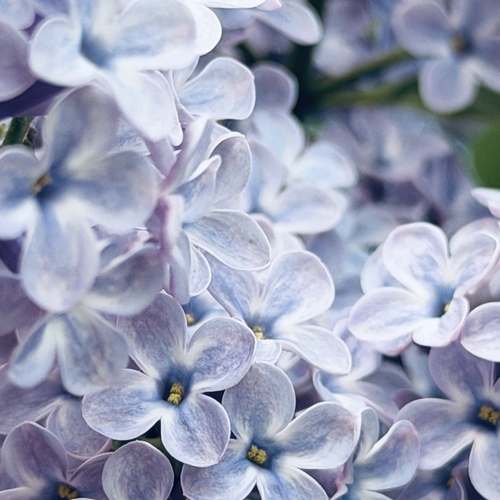 Photo #13860749