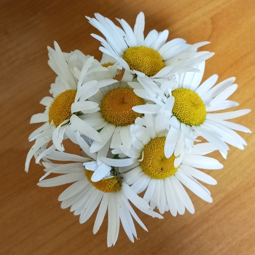 Photo #13860838