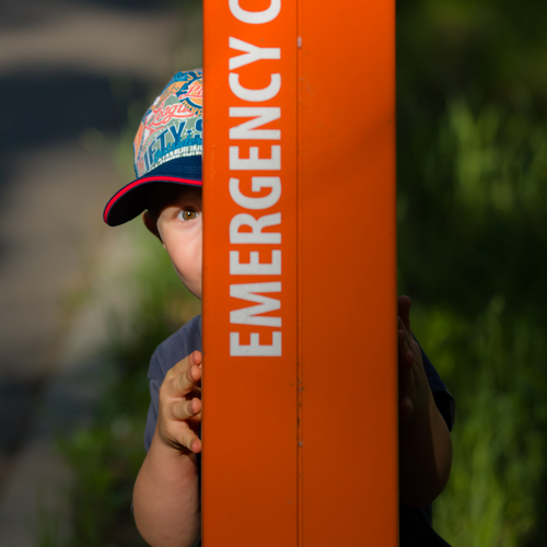 Photo #13860897