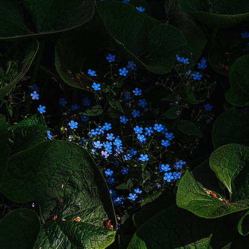 Photo #13860945