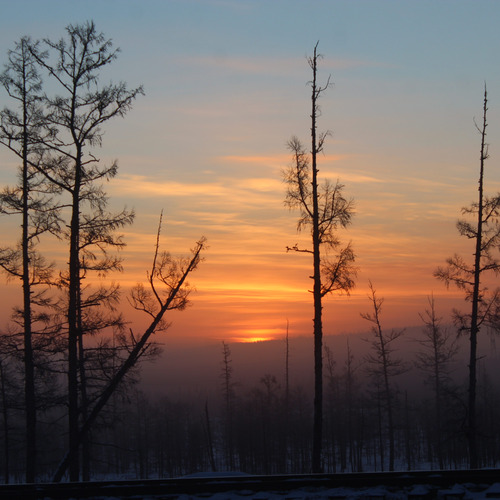 Photo #13860978