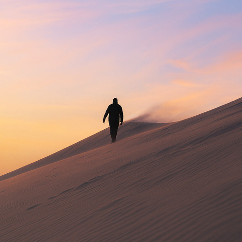Caminante del Viento