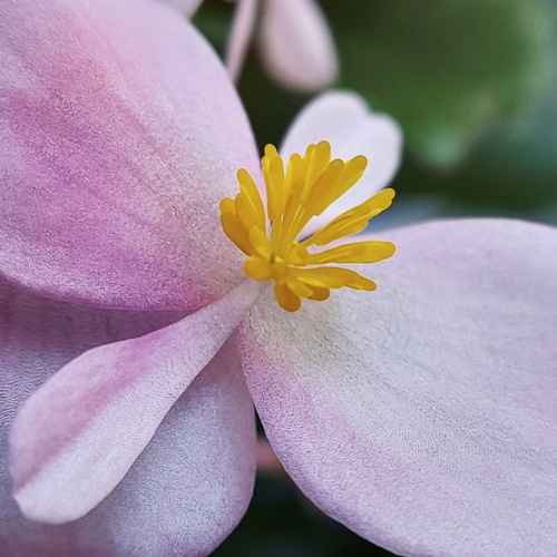 Photo #13861012