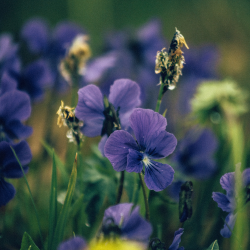 Photo #13861124