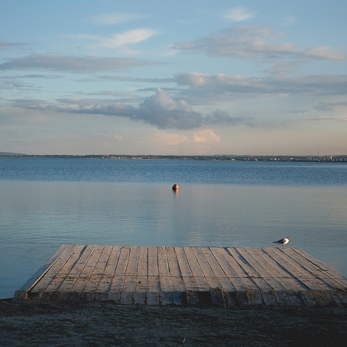 Photo #13861221
