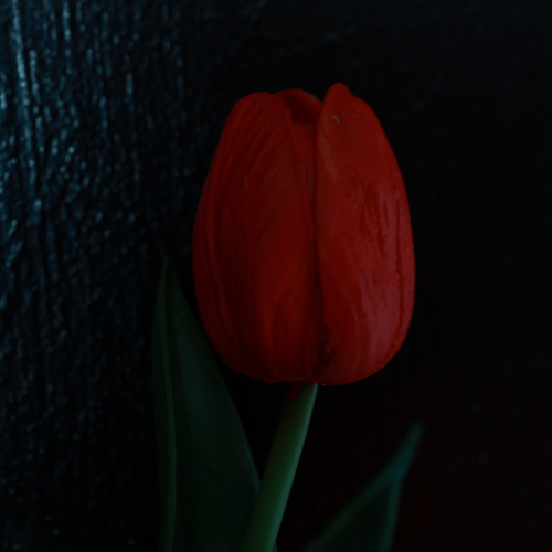 Photo #13861264