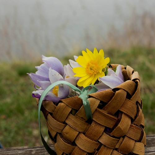 Photo #13861377