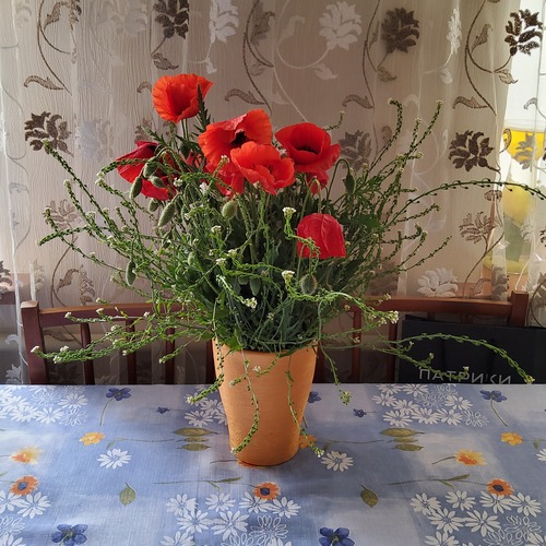 Photo #13861392