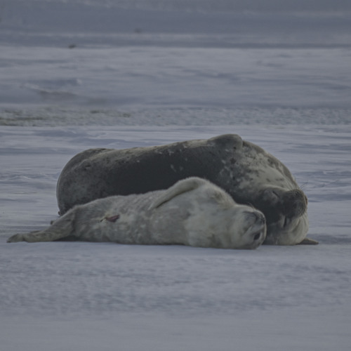 Photo #13861456
