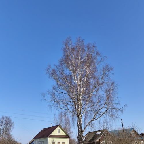 Photo #13861473