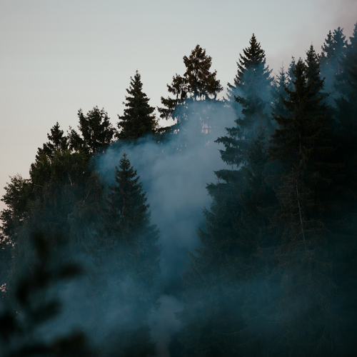 Photo #13861524