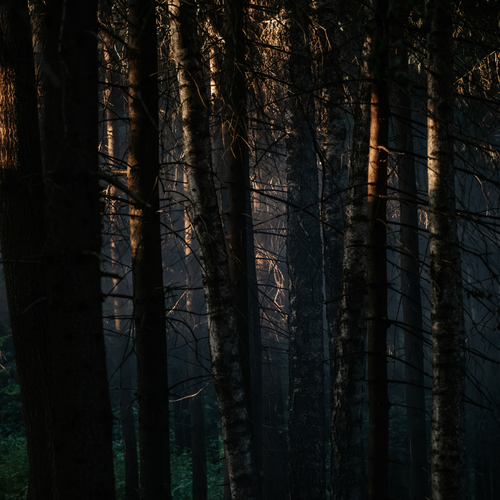 Photo #13861526