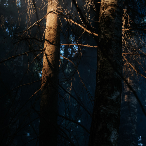 Photo #13861530