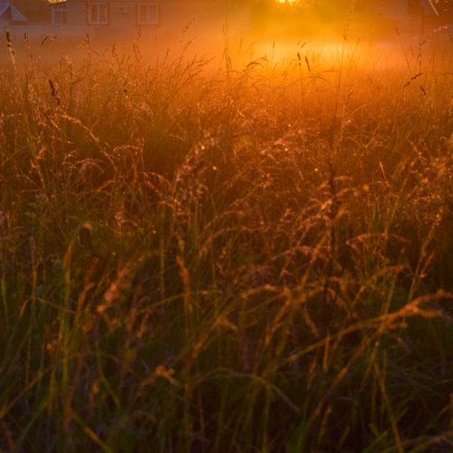 Photo #13861547
