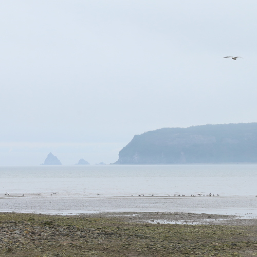 Photo #13861725