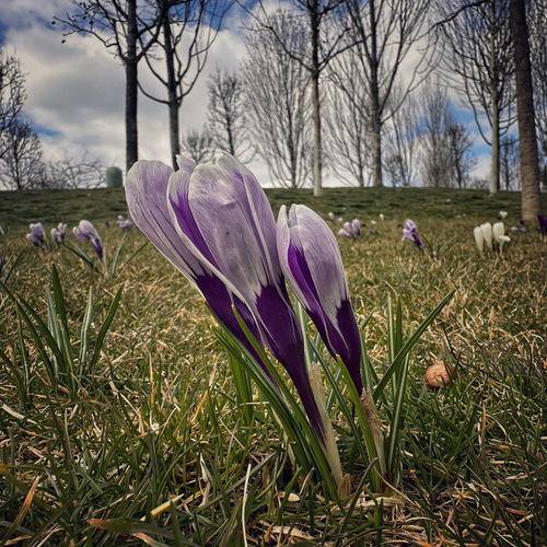 Photo #13861742