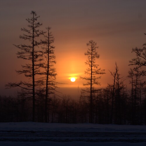 Photo #13861917