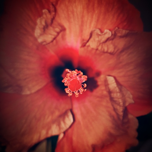 Photo #13862037