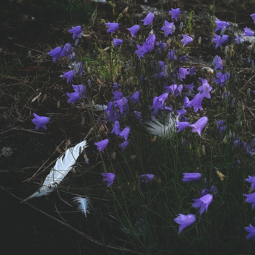 Photo #13862097