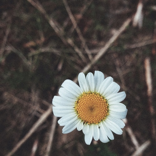 Photo #13862099