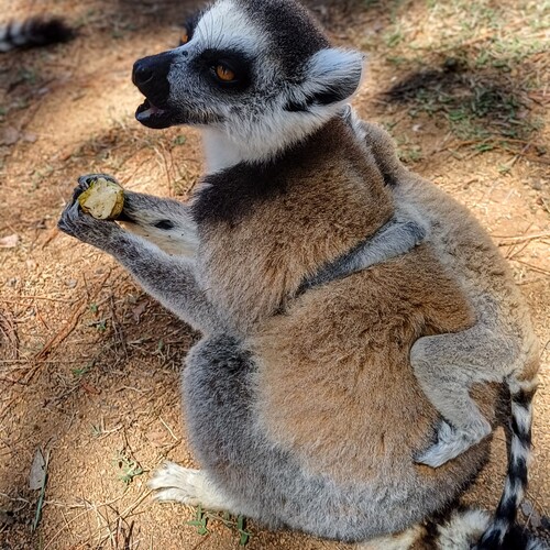 Photo #13862116