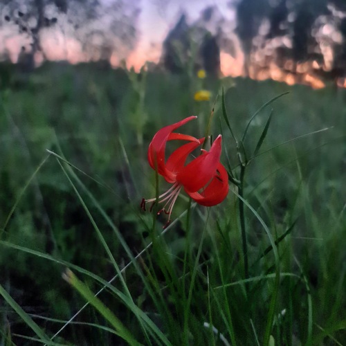 Photo #13862187
