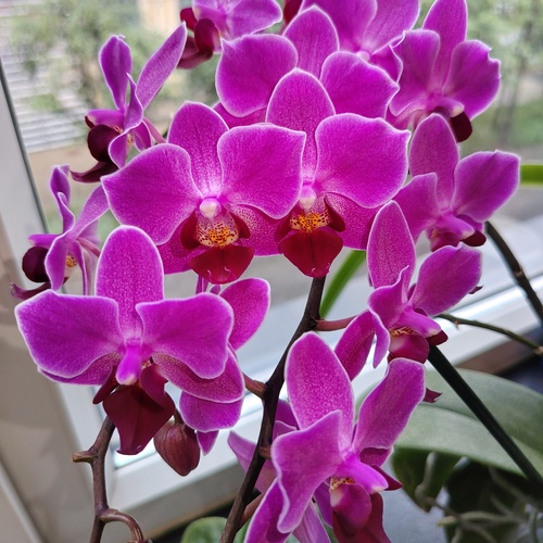 Photo #13862203