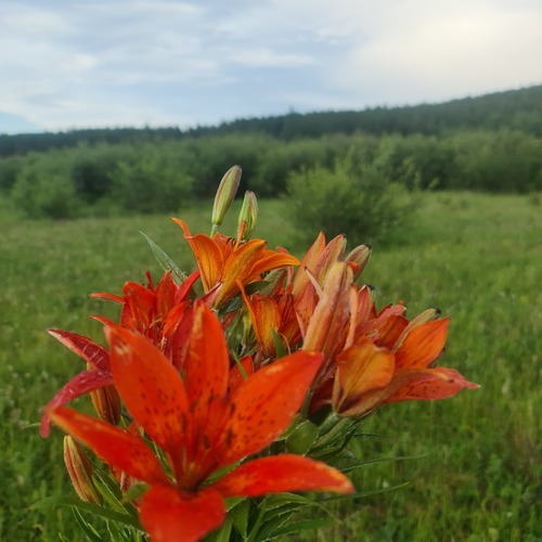 Photo #13862205