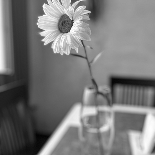 Photo #13862249