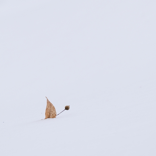 Photo #13862386