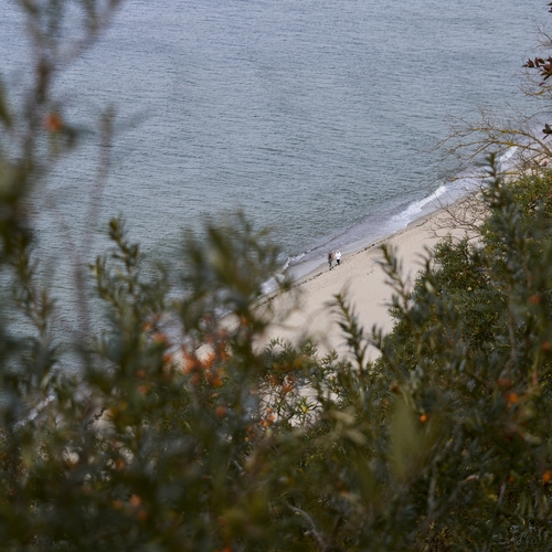 Photo #13862433