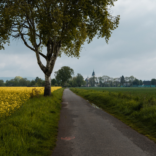 Photo #13862443