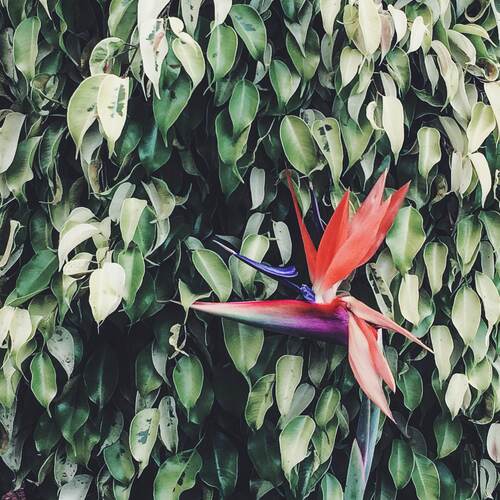 Photo #13862462