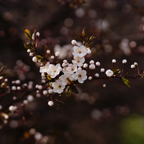 Photo #13862498