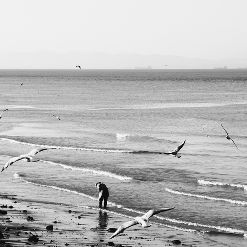 Photo #13862533
