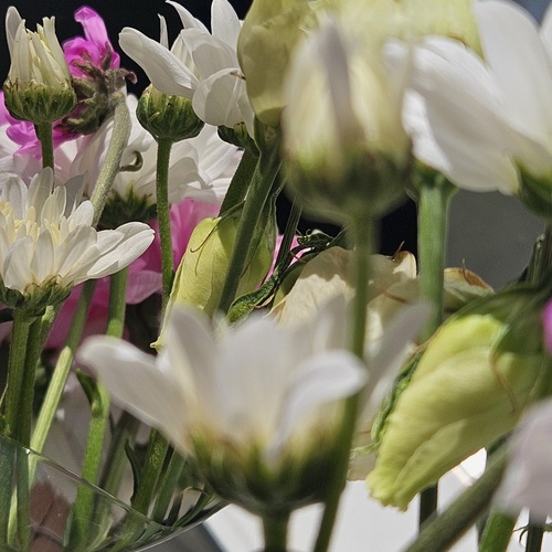 Photo #13862607