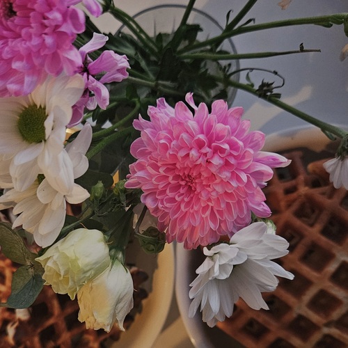 Photo #13862608