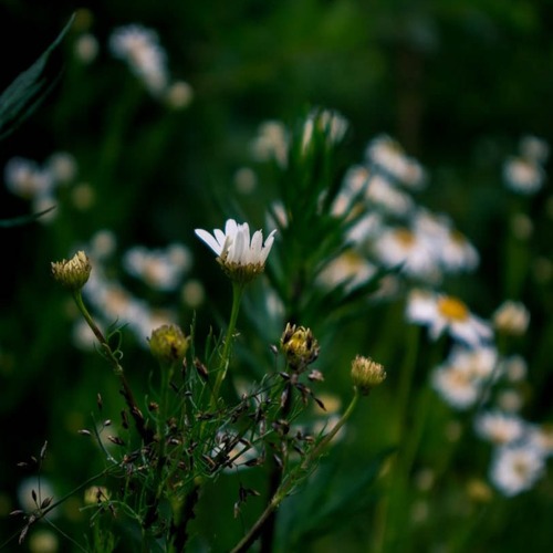 Photo #13862653