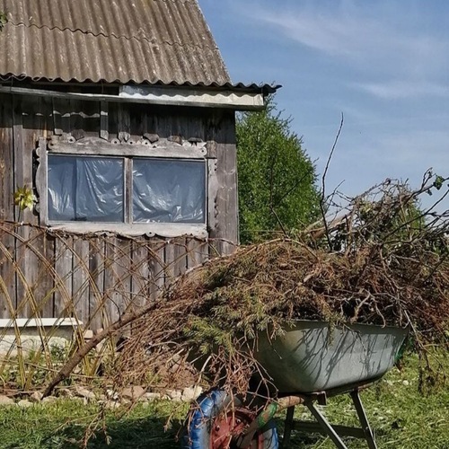 Photo #13862713