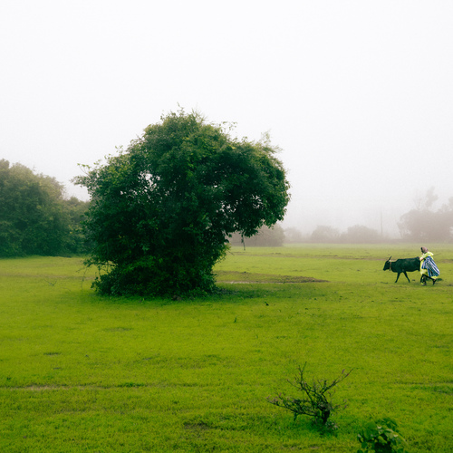 Photo #13862742