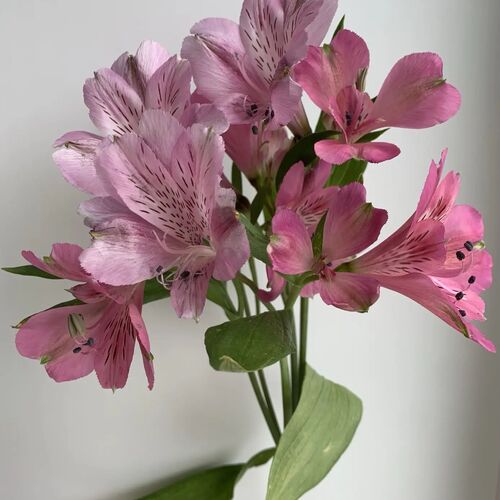 Photo #13862872