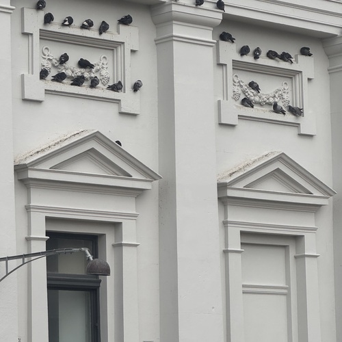 Photo #13862873