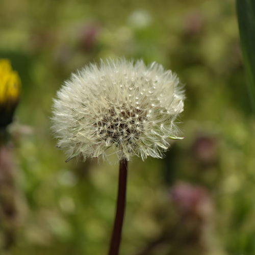 Photo #13863136
