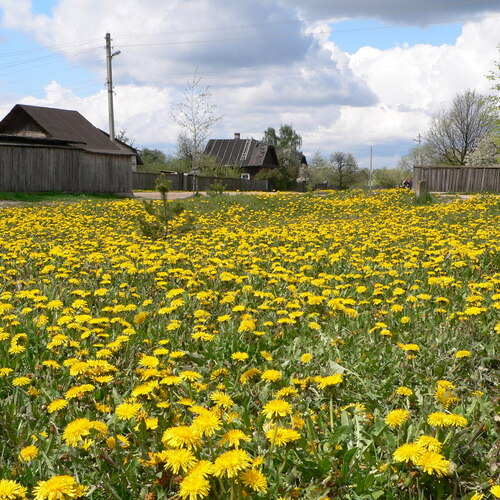 Photo #13863203